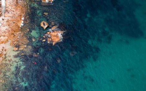 The environmental impact of sunscreen: what really is “reef safe”?