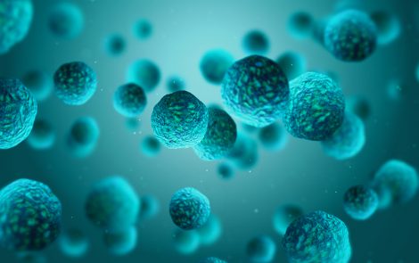 As the microbiome takes a beauty focus, scalp care can take note