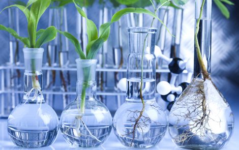 Q&A with Rouah Al-Wakeel