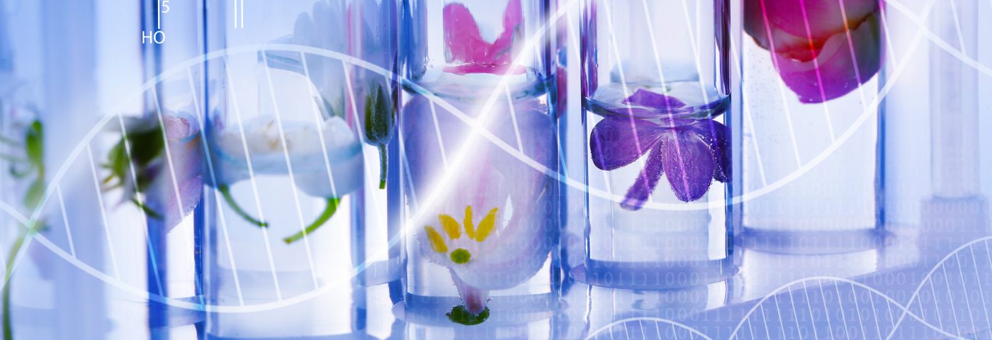 Perspectivas para el mercado de fragancias en Colombia