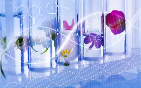 Perspectivas para el mercado de fragancias en Colombia