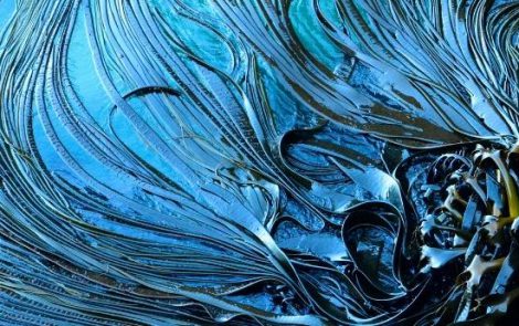 The tide is high for ‘blue beauty’: Why algae is the source of the hottest new cosmetic ingredients