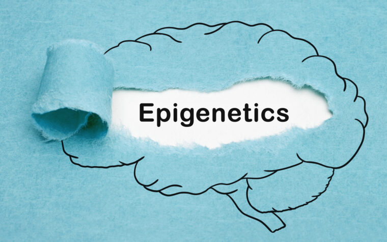Epigenetics