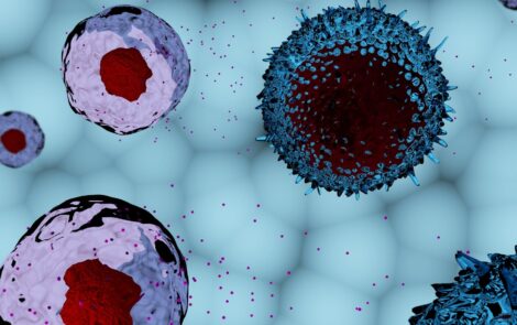 Exosomes and “Exosome-like” skincare