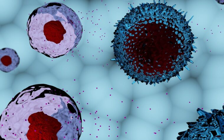 Exosomes in cosmetics