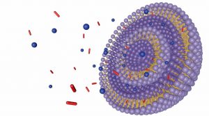 liposome illustration