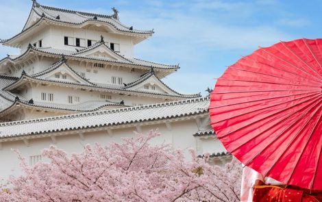 Why Fullerene? Anti-ageing made in Japan