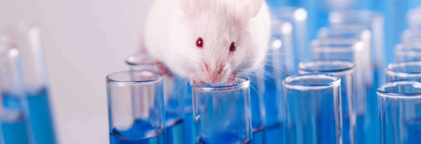 South Korea alternative animal testing methods