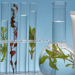 Exclusive Catalynt Q&A: Woman-owned supplier of rare cosmetic ingredients & market trend insights