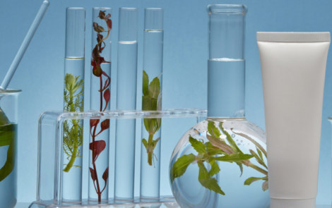 Exclusive Catalynt Q&A: Woman-owned supplier of rare cosmetic ingredients & market trend insights