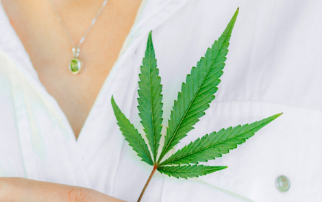 What’s new in CBD (cannabidiol)?