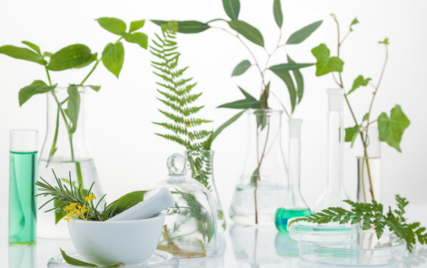 Beauty and clean living – How is the cosmetics industry adapting to this trend?