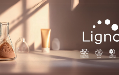 LignoBase: A natural and sustainable SPF-booster