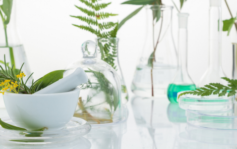 Panorama of Humanity article