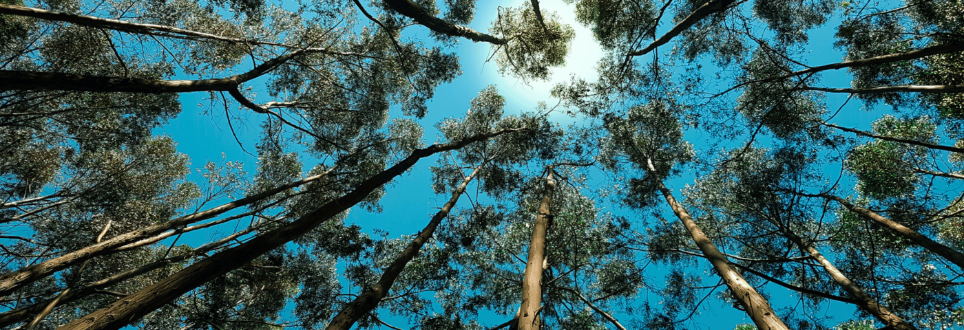 Better sunscreens inspired by art and nature