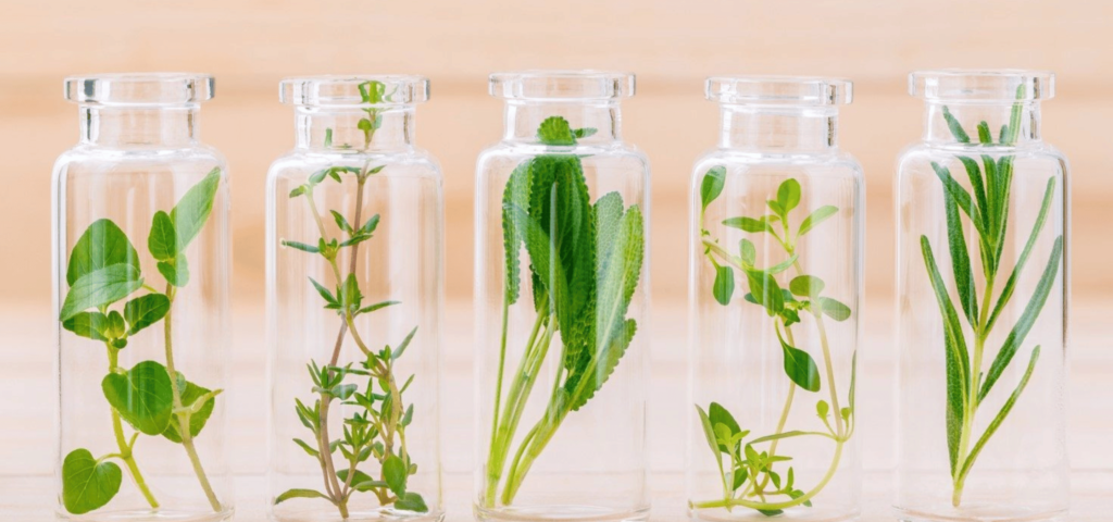 in-cosmetics Asia 2025 to unveil breakthrough ingredient innovations