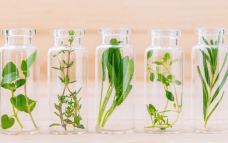 in-cosmetics Asia 2025 to unveil breakthrough ingredient innovations