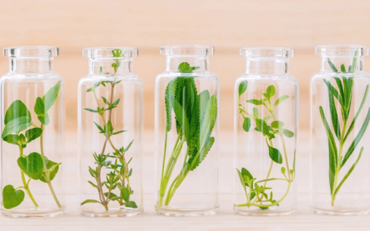 Sustainability_cosmetics