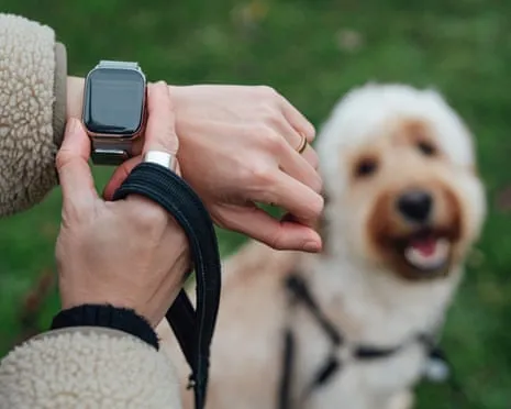 The Truth About Wearable Tech? Living Feels Fuller Without a Nagging Gadget on Your Wristwear